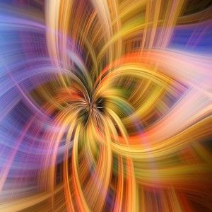 Meet your Posher, Chase